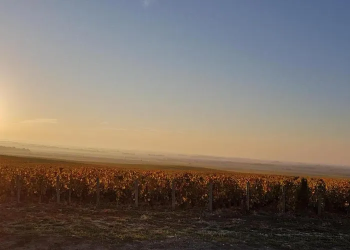 Villa.h Garden Ferienhaus Cramant